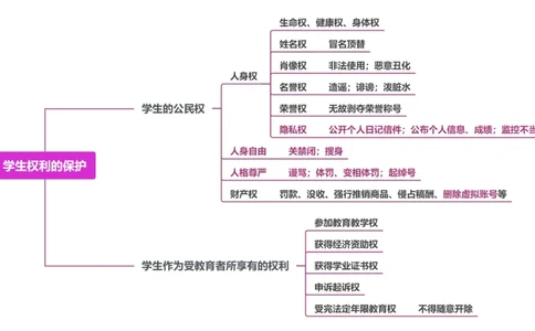 6.学生权利的保护_教资_F家2026上教资笔试系统班_26上FB小学教资笔试（更新中）_26上小学-综合素质（更新中）_班级群文件_科目一思维导图