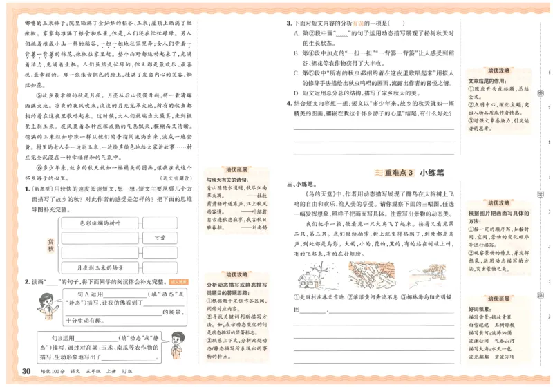 五上语文王朝霞培优100分_25秋小学语数英习题试卷_语文_25秋培优100分语文