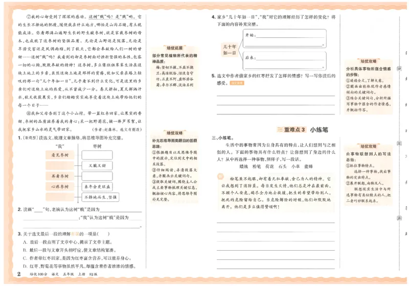 五上语文王朝霞培优100分_25秋小学语数英习题试卷_语文_25秋培优100分语文