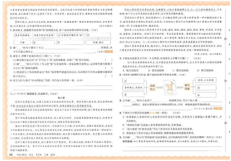 五上语文王朝霞培优100分_25秋小学语数英习题试卷_语文_25秋培优100分语文