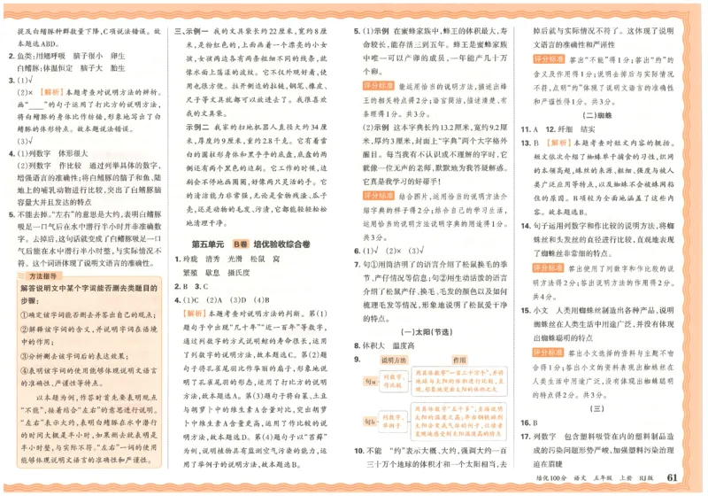 五上语文王朝霞培优100分_25秋小学语数英习题试卷_语文_25秋培优100分语文
