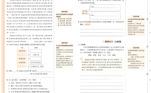 五上语文王朝霞培优100分_25秋小学语数英习题试卷_语文_25秋培优100分语文