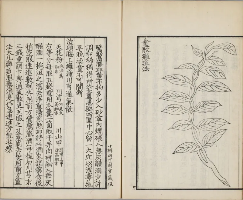 备急灸方.一卷.南宋.闻人耆年.撰.上杭罗氏十瓣同心兰室藏版.清光绪十六年影宋刊本(1)_绝版书_天涯系列_t涯_绝版古籍电子书合集（13大类）_医书类