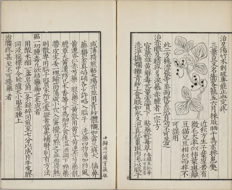 备急灸方.一卷.南宋.闻人耆年.撰.上杭罗氏十瓣同心兰室藏版.清光绪十六年影宋刊本(1)_绝版书_天涯系列_t涯_绝版古籍电子书合集（13大类）_医书类