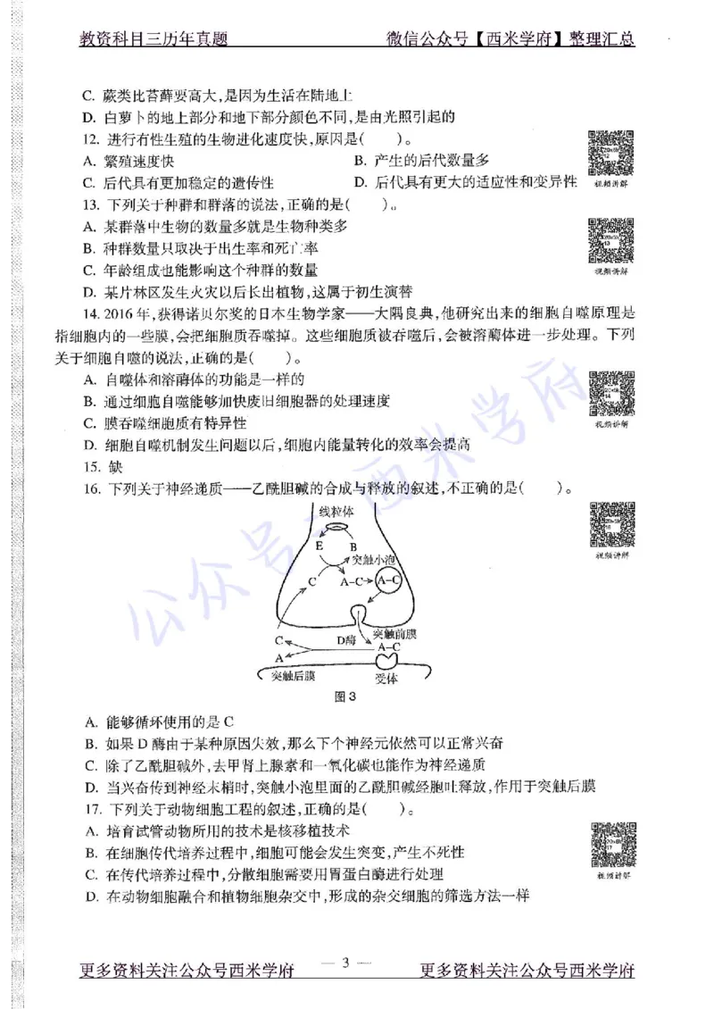 20年下-高中生物-真题及答案解析_教资_25下资料合集二_25下最新科三知识点汇编+思维导图-高中_09.生物_02.历年真题