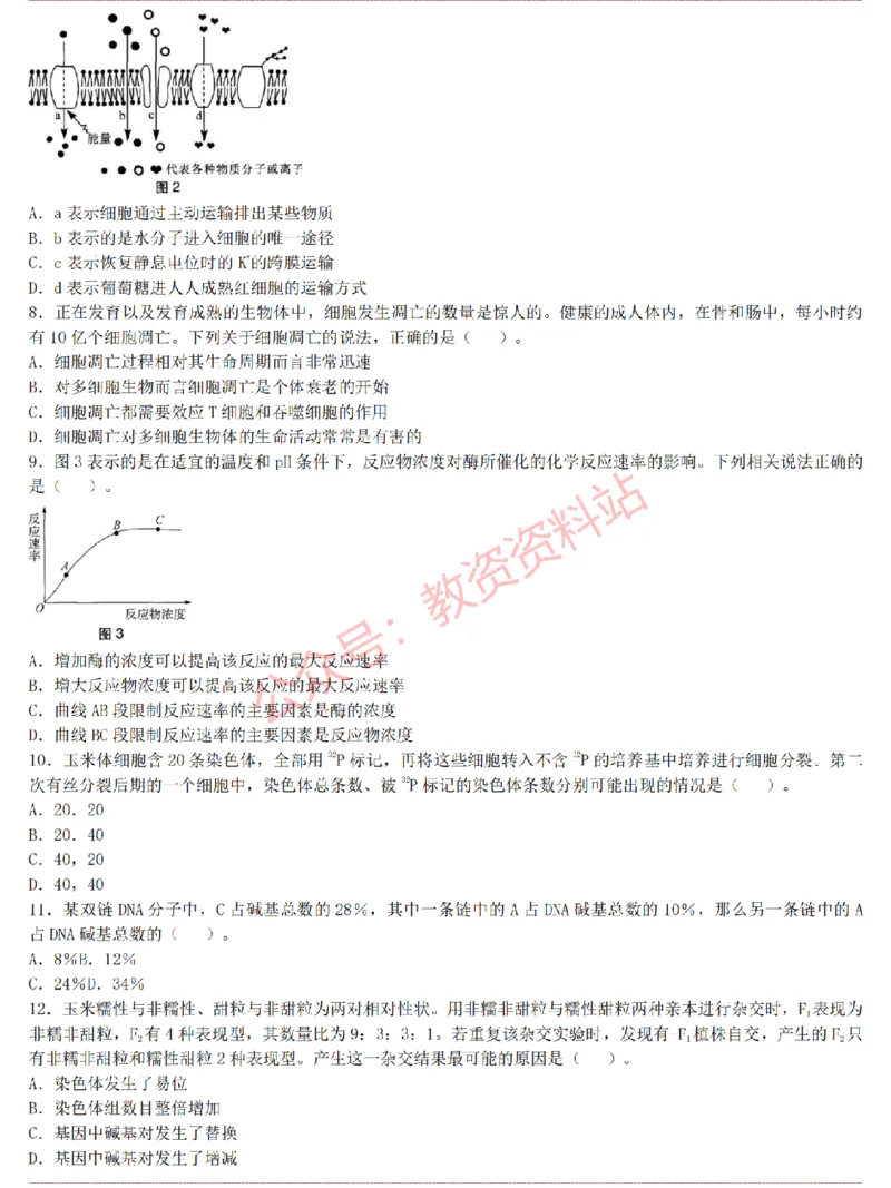 2015上-2019上高中生物学科知识历年真题及解析_教资_33教资笔试历年真题汇总（科一+科二+科三）_科三真题_02高中科三各科电子资料包合集_生物（资料文档）_高中生物