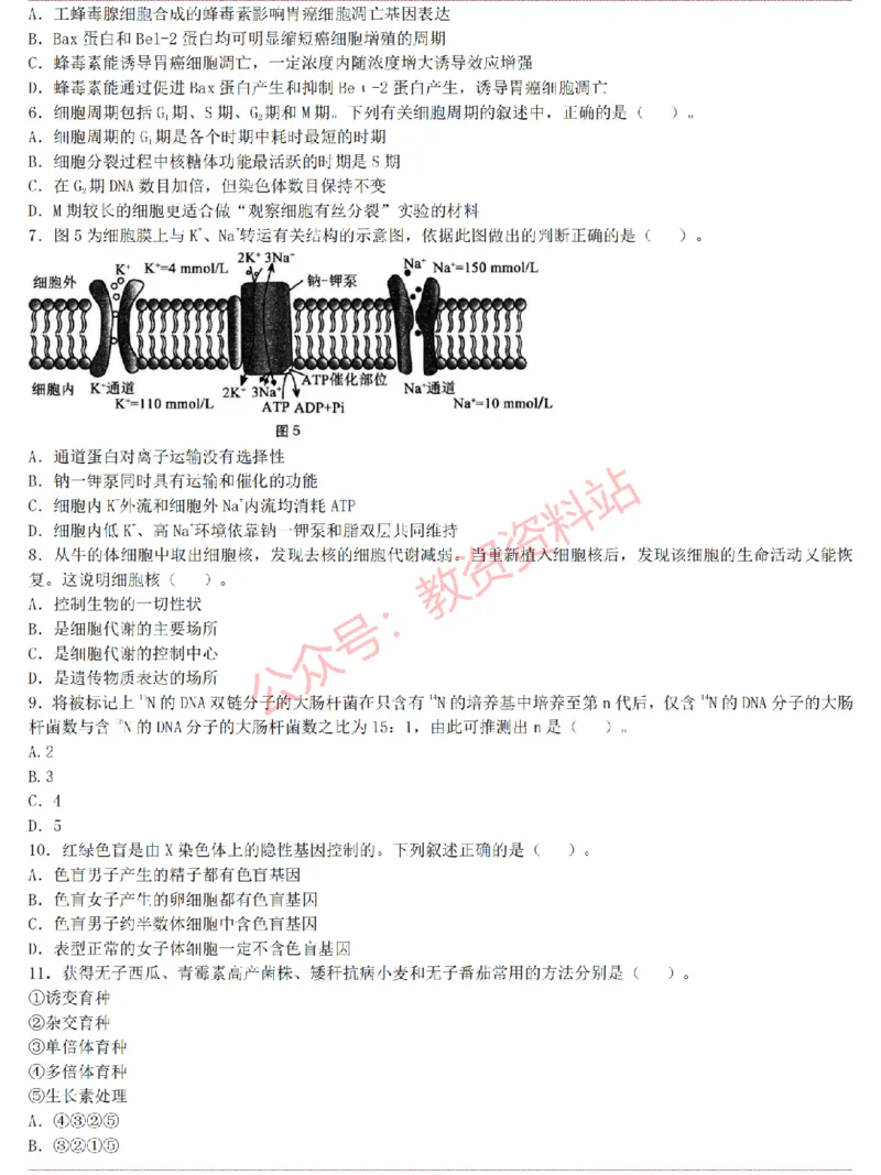 2015上-2019上高中生物学科知识历年真题及解析_教资_33教资笔试历年真题汇总（科一+科二+科三）_科三真题_02高中科三各科电子资料包合集_生物（资料文档）_高中生物