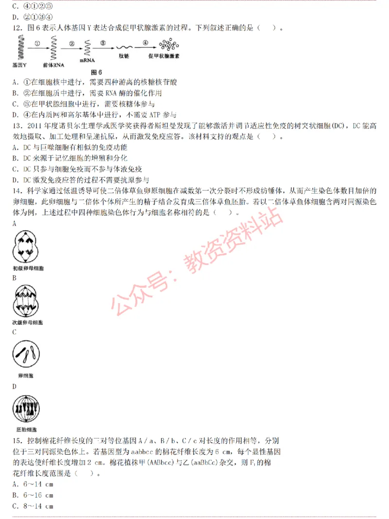 2015上-2019上高中生物学科知识历年真题及解析_教资_33教资笔试历年真题汇总（科一+科二+科三）_科三真题_02高中科三各科电子资料包合集_生物（资料文档）_高中生物