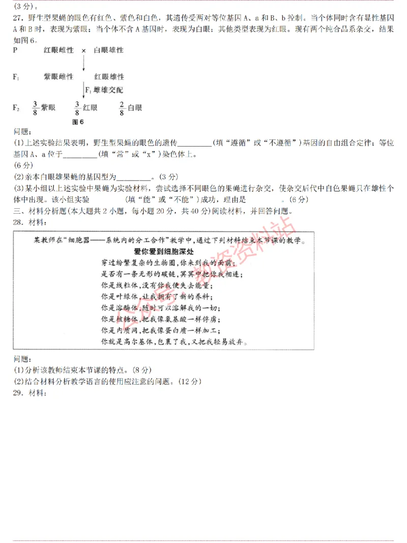 2015上-2019上高中生物学科知识历年真题及解析_教资_33教资笔试历年真题汇总（科一+科二+科三）_科三真题_02高中科三各科电子资料包合集_生物（资料文档）_高中生物