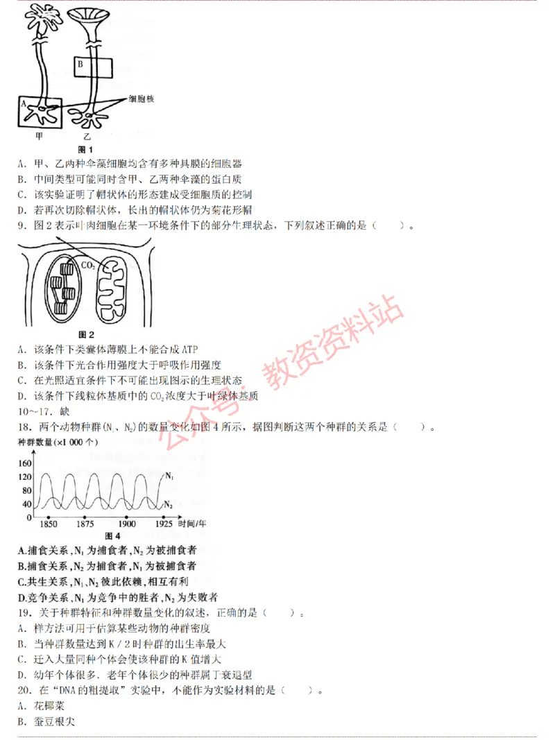 2015上-2019上高中生物学科知识历年真题及解析_教资_33教资笔试历年真题汇总（科一+科二+科三）_科三真题_02高中科三各科电子资料包合集_生物（资料文档）_高中生物