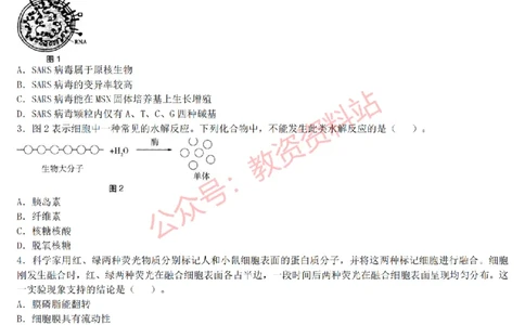 2015上-2019上高中生物学科知识历年真题及解析_教资_33教资笔试历年真题汇总（科一+科二+科三）_科三真题_02高中科三各科电子资料包合集_生物（资料文档）_高中生物