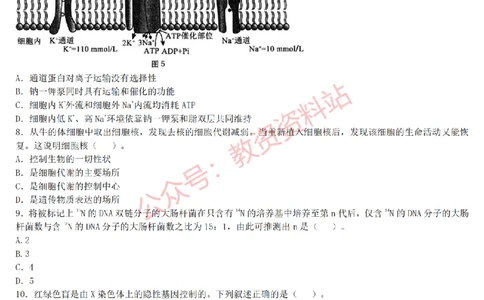 2015上-2019上高中生物学科知识历年真题及解析_教资_33教资笔试历年真题汇总（科一+科二+科三）_科三真题_02高中科三各科电子资料包合集_生物（资料文档）_高中生物