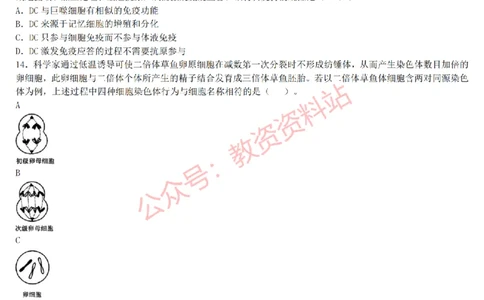 2015上-2019上高中生物学科知识历年真题及解析_教资_33教资笔试历年真题汇总（科一+科二+科三）_科三真题_02高中科三各科电子资料包合集_生物（资料文档）_高中生物