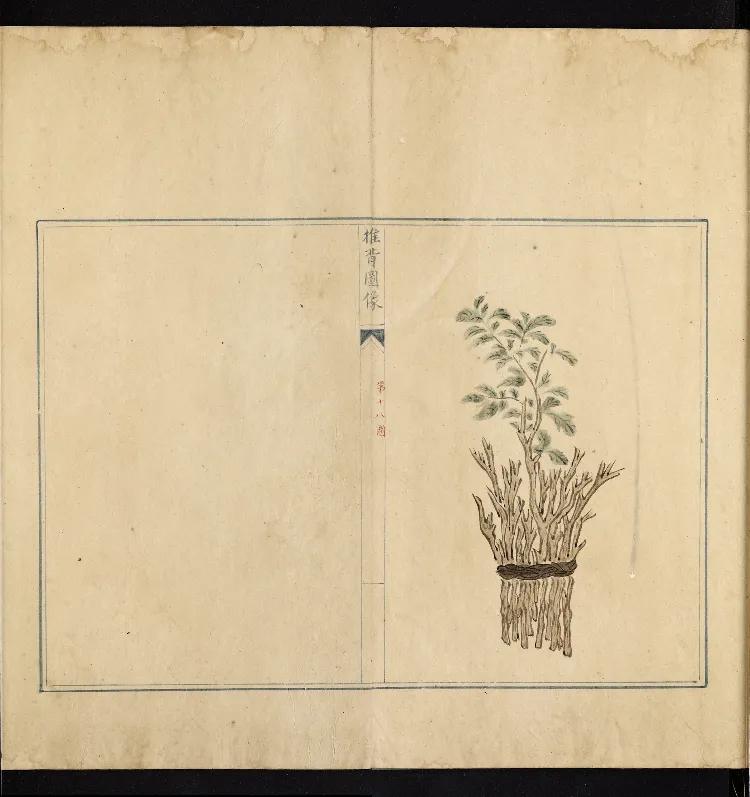 推背图说.不分卷.六十象.清彩绘抄本_绝版书_天涯系列_t涯_绝版古籍电子书合集（13大类）_推背图