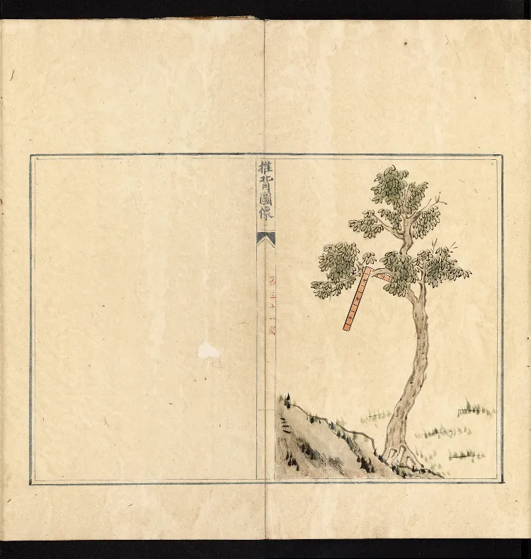 推背图说.不分卷.六十象.清彩绘抄本_绝版书_天涯系列_t涯_绝版古籍电子书合集（13大类）_推背图