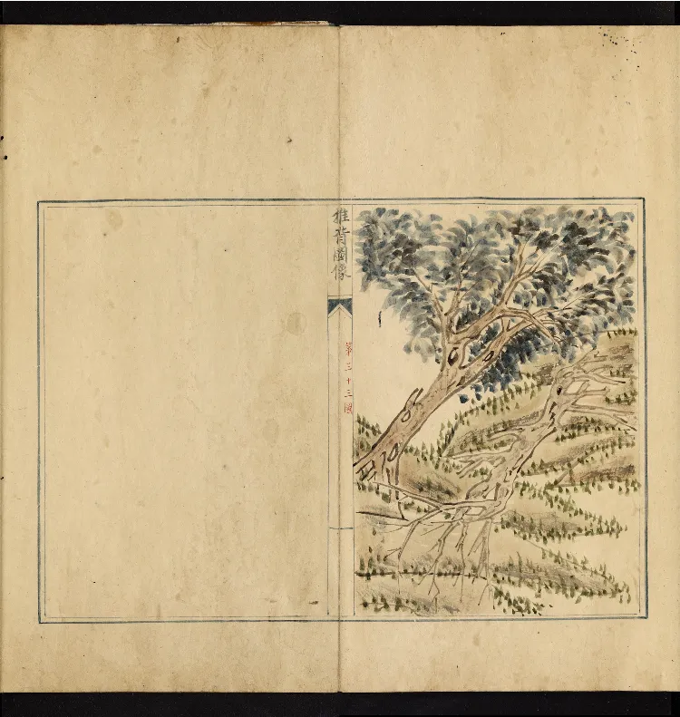 推背图说.不分卷.六十象.清彩绘抄本_绝版书_天涯系列_t涯_绝版古籍电子书合集（13大类）_推背图