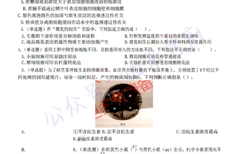 22年下-高中生物-真题及答案解析_教资_25下资料合集二_25下最新科三知识点汇编+思维导图-高中_09.生物_02.历年真题