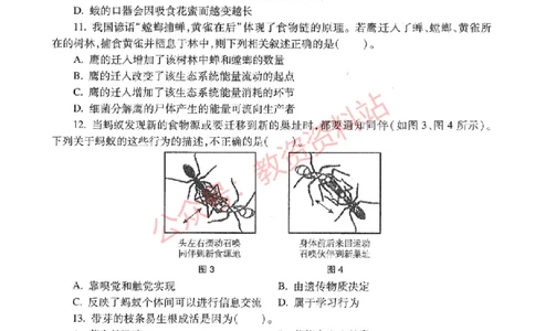 2020年下半年初中《生物》教师资格证笔试真题及答案解析_教资_33教资笔试历年真题汇总（科一+科二+科三）_科三真题_02初中科三各科电子资料包合集_生物（资料文档）