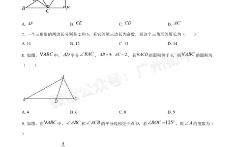 荔湾区真光中学2024-2025学年八年级九月月考数学试题_广州九上月考+期中+期末+一模二模+中考真题_九上月考_初三上十月考