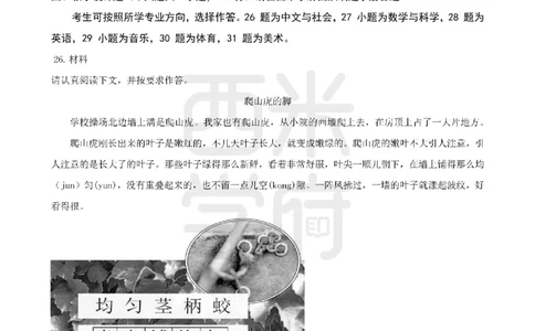14年-18年真题-小学-教育知识_教资_初高中2026教资_25下教师资格证_9.2025下教资Coco中小学科一科二_coco教资_25下小学科二CocoPolarisの小学教育知识与能力笔记