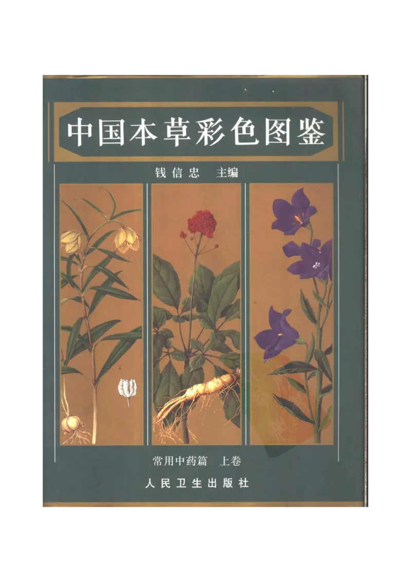 中国本草彩色图鉴（常用中药篇）（上卷）（钱信忠）_绝版书_天涯系列_t涯_绝版古籍电子书合集（13大类）_医书类_中国本草彩色图鉴（常用中药篇）_3册