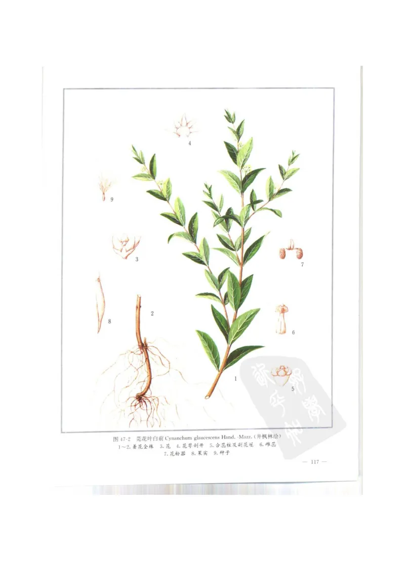 中国本草彩色图鉴（常用中药篇）（上卷）（钱信忠）_绝版书_天涯系列_t涯_绝版古籍电子书合集（13大类）_医书类_中国本草彩色图鉴（常用中药篇）_3册