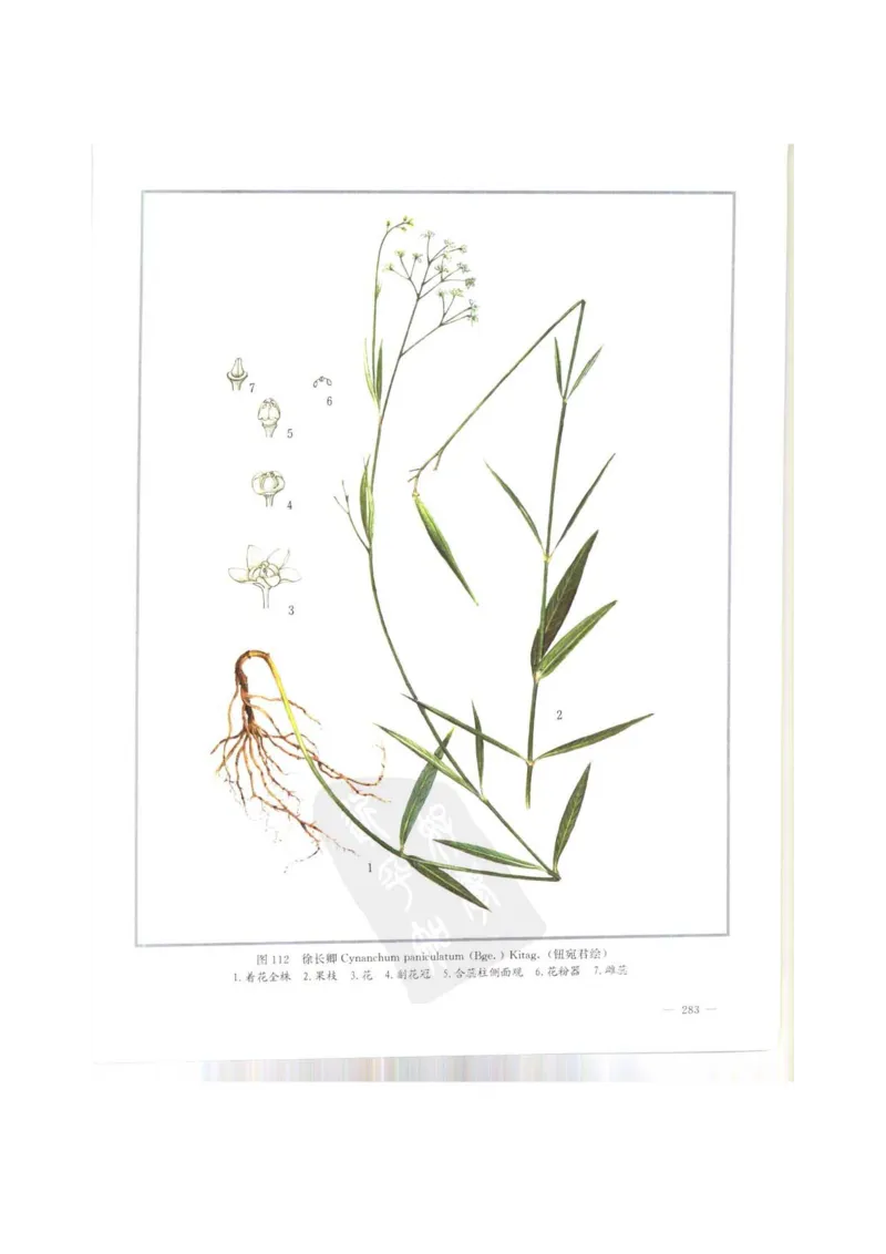 中国本草彩色图鉴（常用中药篇）（上卷）（钱信忠）_绝版书_天涯系列_t涯_绝版古籍电子书合集（13大类）_医书类_中国本草彩色图鉴（常用中药篇）_3册