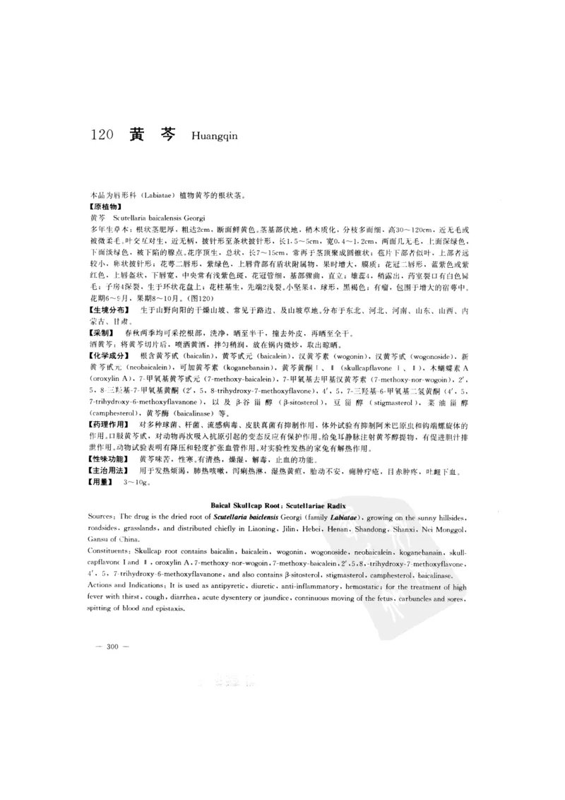 中国本草彩色图鉴（常用中药篇）（上卷）（钱信忠）_绝版书_天涯系列_t涯_绝版古籍电子书合集（13大类）_医书类_中国本草彩色图鉴（常用中药篇）_3册