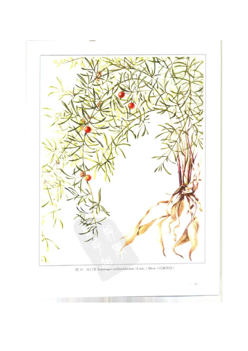 中国本草彩色图鉴（常用中药篇）（上卷）（钱信忠）_绝版书_天涯系列_t涯_绝版古籍电子书合集（13大类）_医书类_中国本草彩色图鉴（常用中药篇）_3册