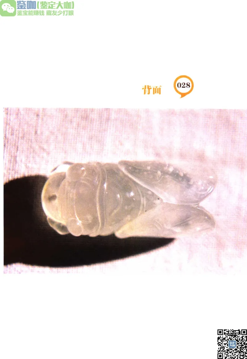 翡翠精品投资技巧_X018-玉石珠宝鉴定教程最新合集_6、翡翠鉴定专题全套课程_翡翠电子书_更新