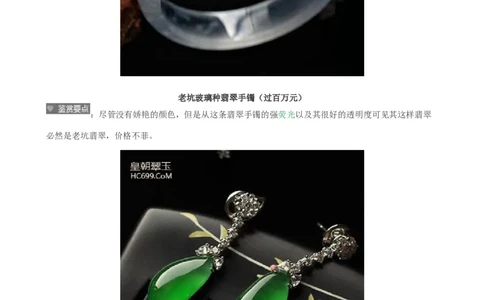 老坑种翡翠_X018-玉石珠宝鉴定教程最新合集_8、玉石翡翠鉴定与投资电子资料_赌石专题