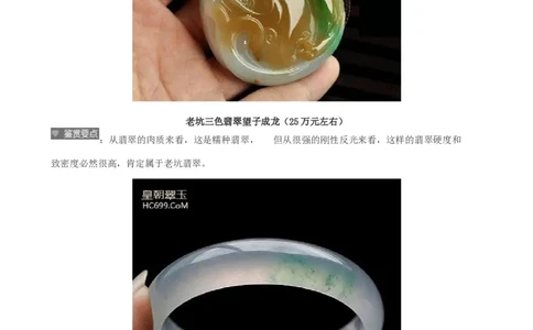 老坑种翡翠_X018-玉石珠宝鉴定教程最新合集_8、玉石翡翠鉴定与投资电子资料_赌石专题