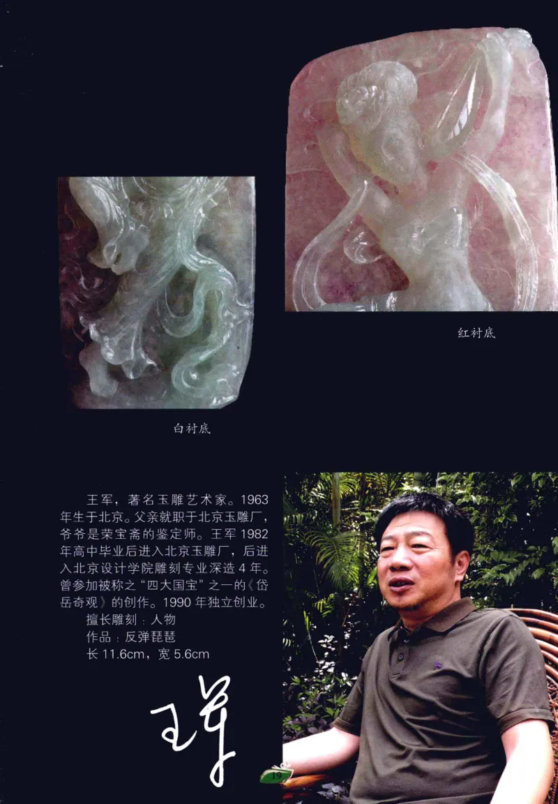 赌石&middot;珠宝玉石投资_X018-玉石珠宝鉴定教程最新合集_6、翡翠鉴定专题全套课程_翡翠电子书_翡翠鉴赏_41-50