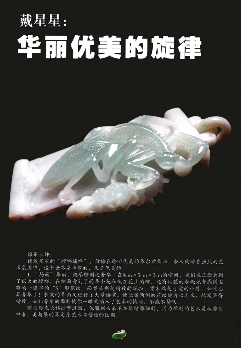 赌石&middot;珠宝玉石投资_X018-玉石珠宝鉴定教程最新合集_6、翡翠鉴定专题全套课程_翡翠电子书_翡翠鉴赏_41-50