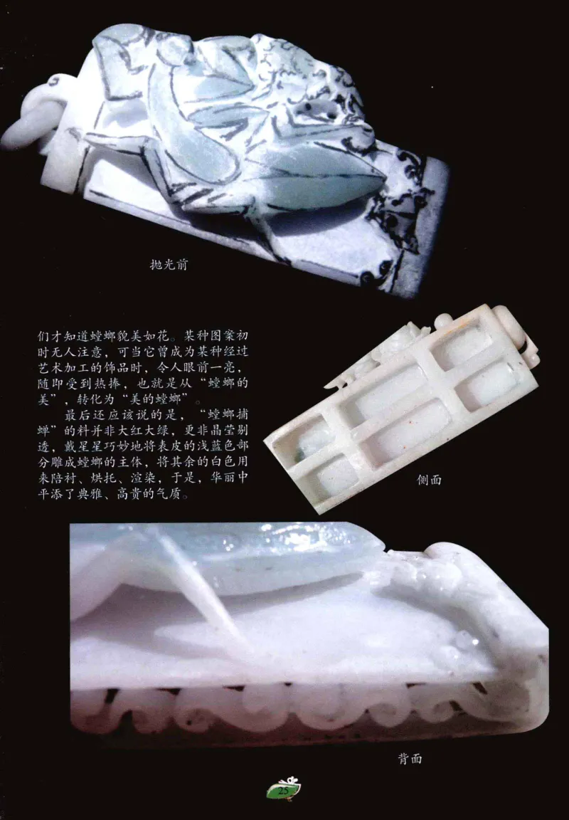 赌石&middot;珠宝玉石投资_X018-玉石珠宝鉴定教程最新合集_6、翡翠鉴定专题全套课程_翡翠电子书_翡翠鉴赏_41-50