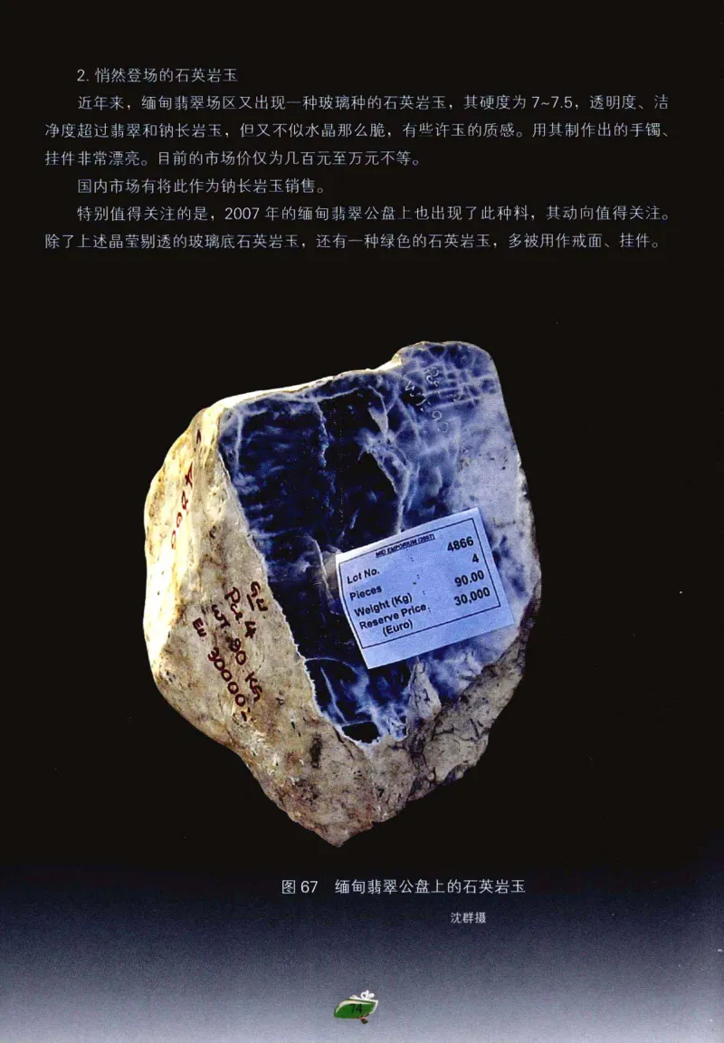 赌石&middot;珠宝玉石投资_X018-玉石珠宝鉴定教程最新合集_6、翡翠鉴定专题全套课程_翡翠电子书_翡翠鉴赏_41-50