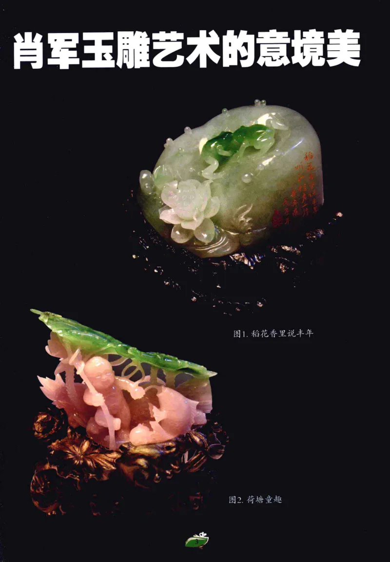 赌石&middot;珠宝玉石投资_X018-玉石珠宝鉴定教程最新合集_6、翡翠鉴定专题全套课程_翡翠电子书_翡翠鉴赏_41-50