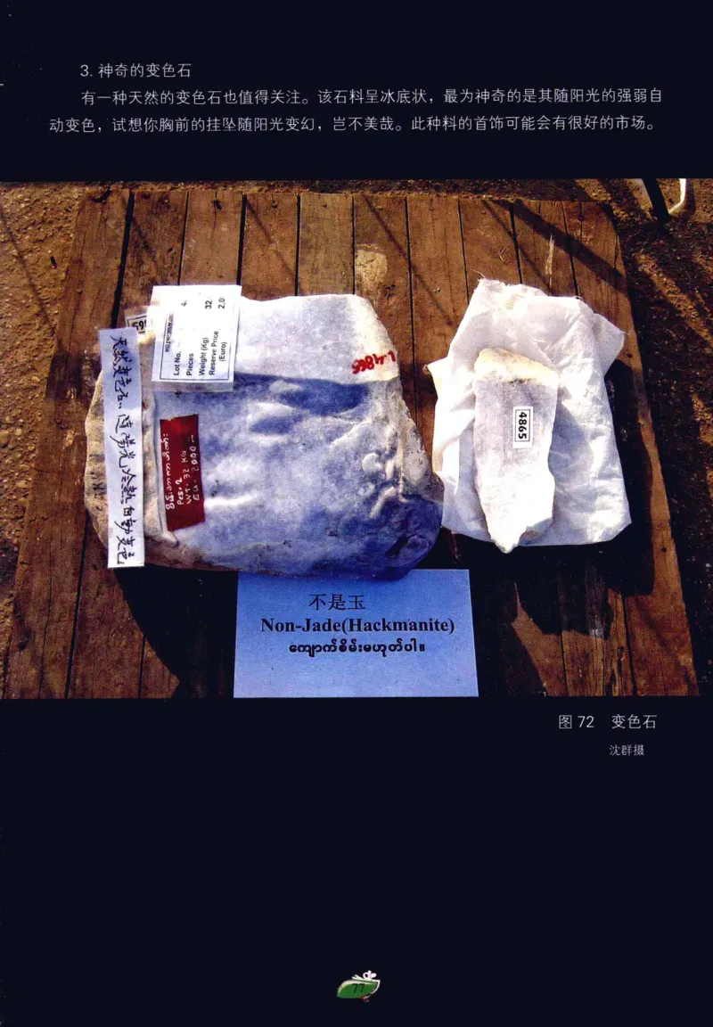 赌石&middot;珠宝玉石投资_X018-玉石珠宝鉴定教程最新合集_6、翡翠鉴定专题全套课程_翡翠电子书_翡翠鉴赏_41-50