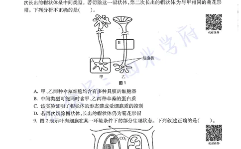 15年上-高中生物-真题及答案解析_教资_25下资料合集二_25下最新科三知识点汇编+思维导图-高中_09.生物_02.历年真题