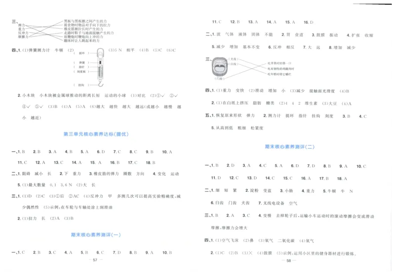 阳光同学全优好卷：四年级科学上G_25秋小学语数英习题试卷_科学_科学《阳光同学全优好卷》教科25秋(1)