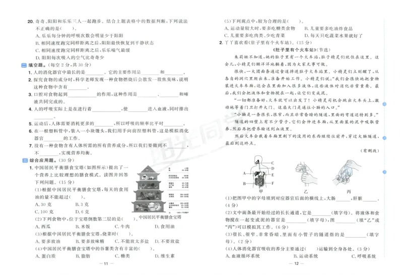 阳光同学全优好卷：四年级科学上G_25秋小学语数英习题试卷_科学_科学《阳光同学全优好卷》教科25秋(1)
