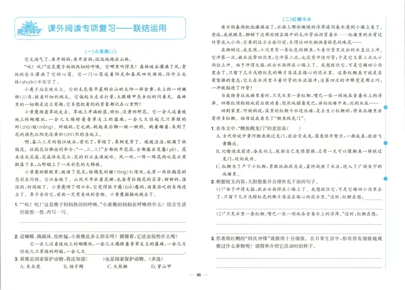 试卷英语JJ5_25秋小学语数英习题试卷_英语_冀教版_冀教英语同步检测高频题_25秋考试报同步检测高频题冀教英语5上