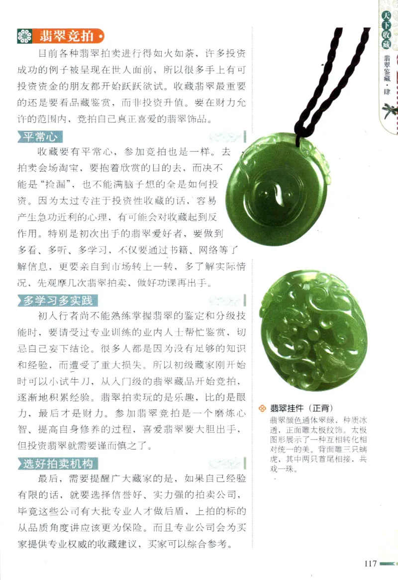 翡翠鉴藏&middot;肆_X018-玉石珠宝鉴定教程最新合集_6、翡翠鉴定专题全套课程_翡翠电子书_翡翠鉴赏_31-40