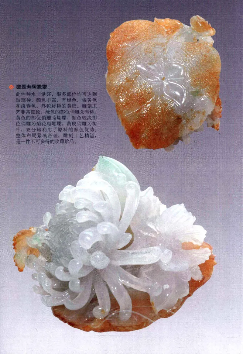 翡翠鉴藏&middot;肆_X018-玉石珠宝鉴定教程最新合集_6、翡翠鉴定专题全套课程_翡翠电子书_翡翠鉴赏_31-40