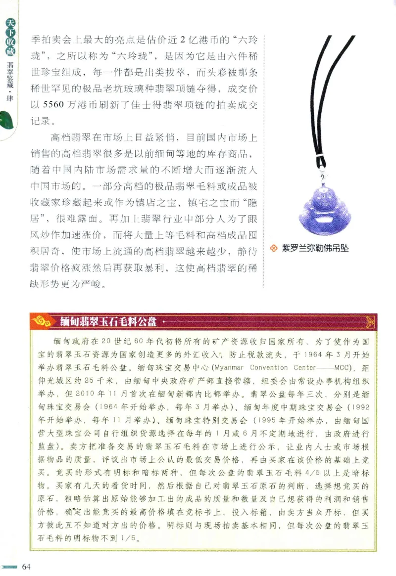 翡翠鉴藏&middot;肆_X018-玉石珠宝鉴定教程最新合集_6、翡翠鉴定专题全套课程_翡翠电子书_翡翠鉴赏_31-40