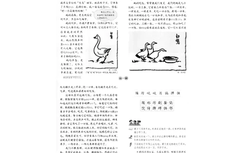 202教育教学知识与能力（小学）2017年上半年@真题卷_教资_33教资笔试历年真题汇总（科一+科二+科三）_教资笔试-历年真题丨2012年-2025年笔试科目一、科目二真题汇总