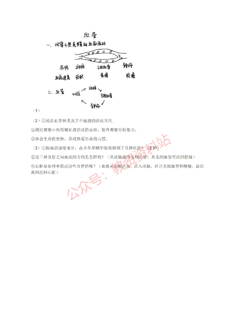 2021年下半年初中《生物》教师资格证笔试真题及答案解析_教资_33教资笔试历年真题汇总（科一+科二+科三）_科三真题_02初中科三各科电子资料包合集_生物（资料文档）