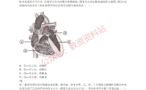 2021年下半年初中《生物》教师资格证笔试真题及答案解析_教资_33教资笔试历年真题汇总（科一+科二+科三）_科三真题_02初中科三各科电子资料包合集_生物（资料文档）