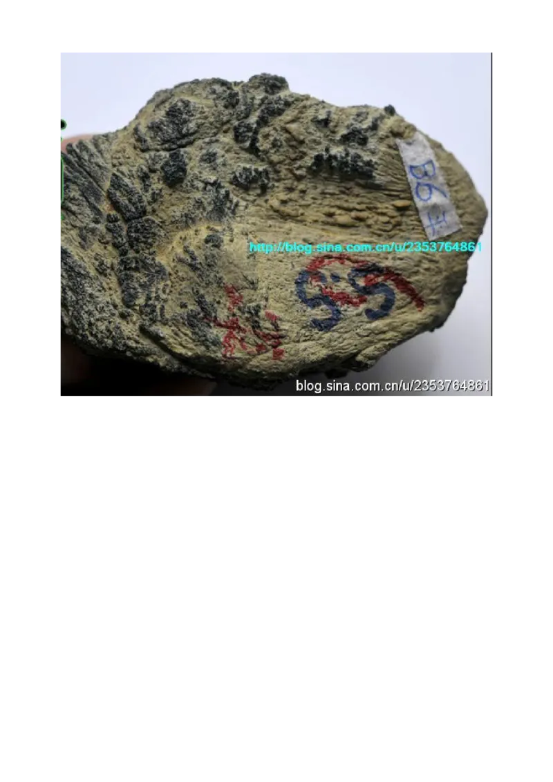 赌石技巧_X018-玉石珠宝鉴定教程最新合集_8、玉石翡翠鉴定与投资电子资料_赌石专题