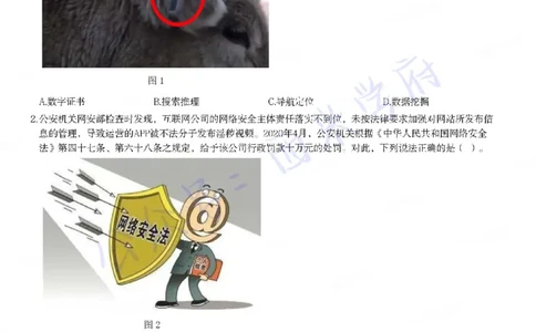 21年下-高中信息技术真题-题本_教资_25下资料合集二_25下最新科三知识点汇编+思维导图-高中_05.信息技术_02.历年真题